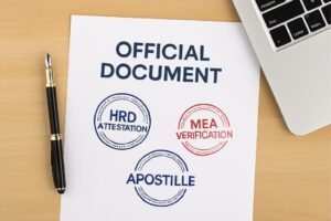 official document